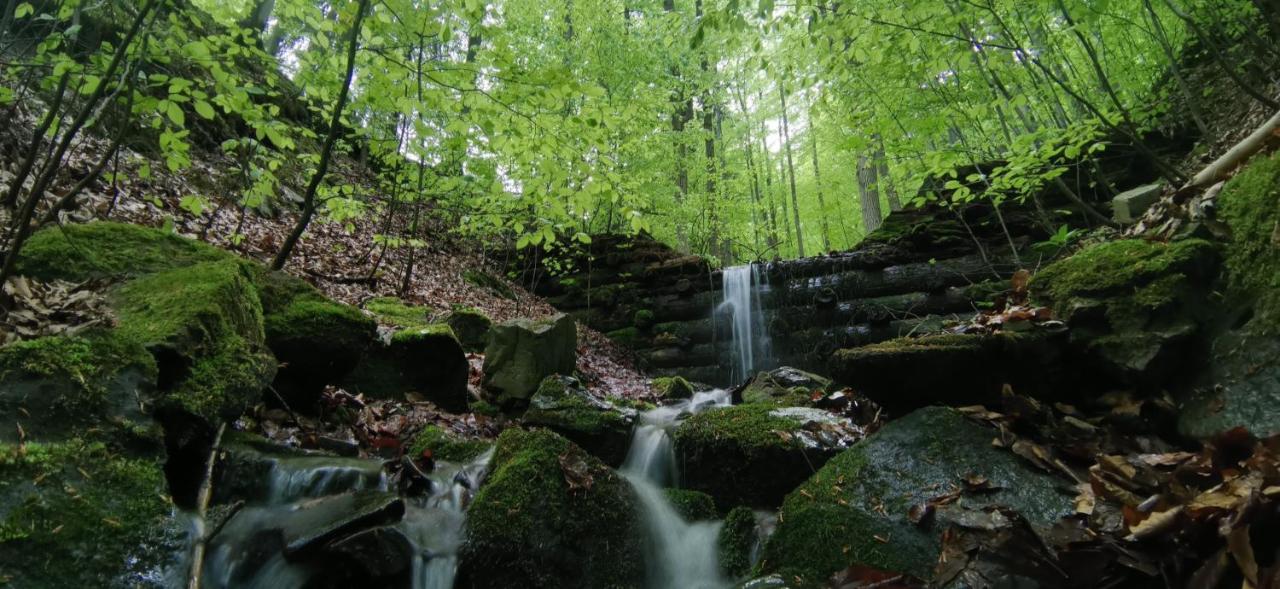 Penzion Rzehaczek Dolní Lomná Exterior foto