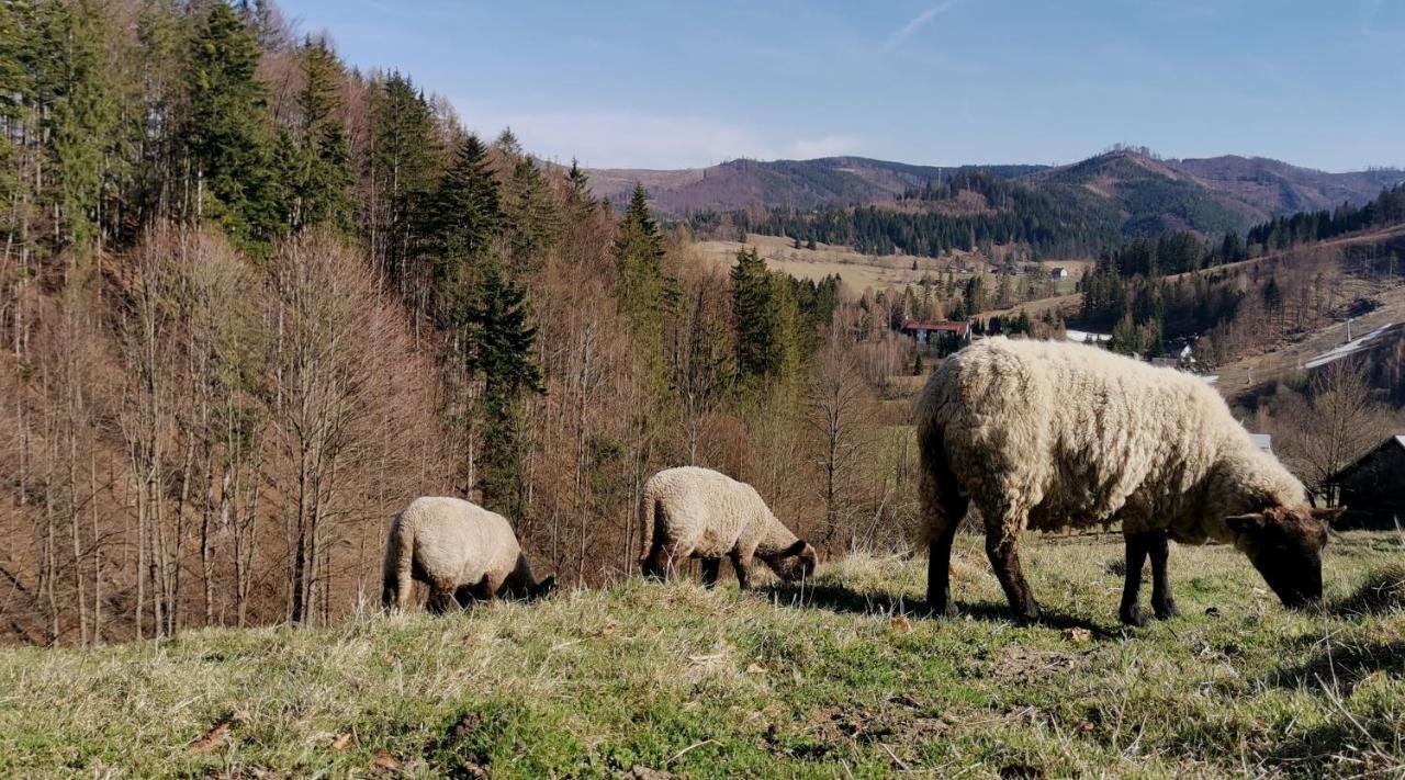 Penzion Rzehaczek Dolní Lomná Exterior foto