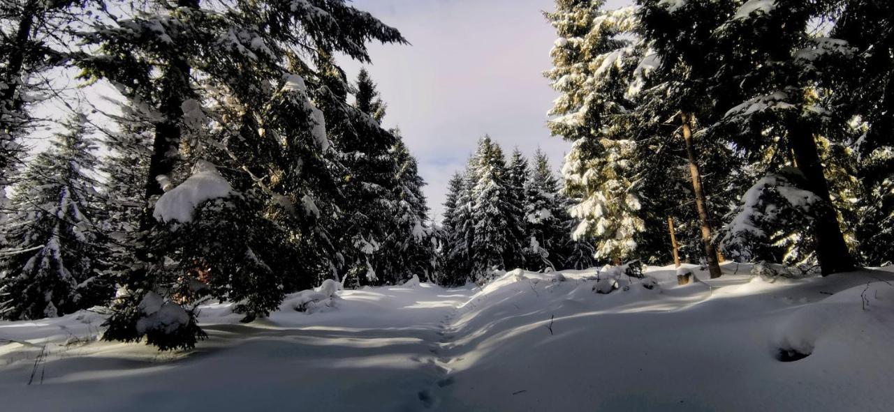 Penzion Rzehaczek Dolní Lomná Exterior foto