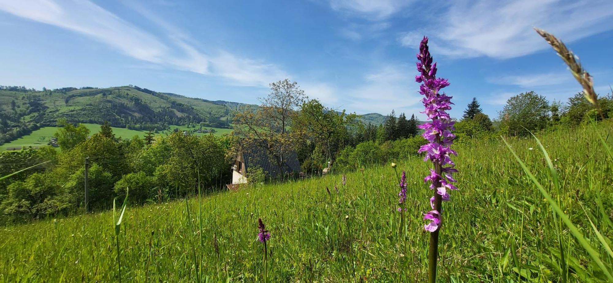 Penzion Rzehaczek Dolní Lomná Exterior foto